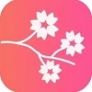 桃花相機免費